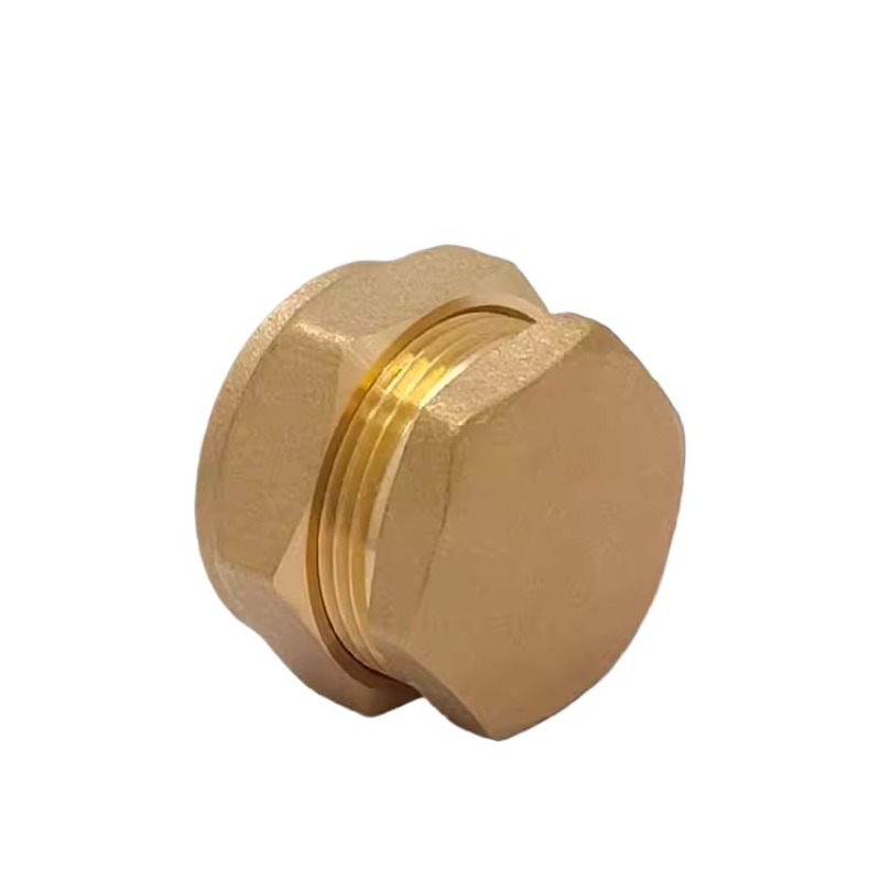 Brass Card sleeve plug 15 16 2 - Compression Fitting Brass ulasan dan harga